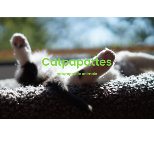 soins énergétiques et naturopathe animaux