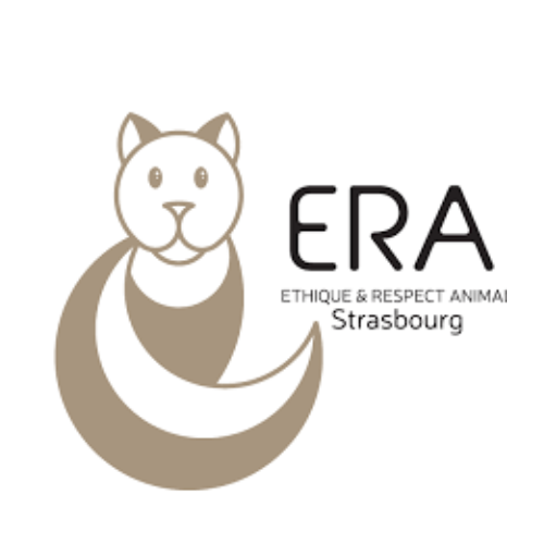 Era association -chats-soins énergétiques pour chats