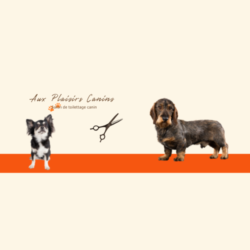 salon de toilettage soins et bien être animal