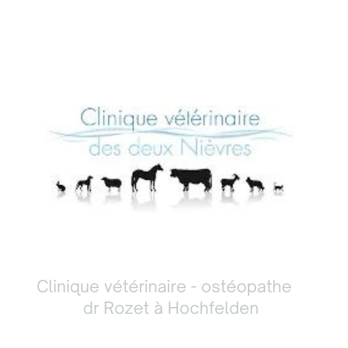 meilleure clinique vétérinaire Bas Rhin- ostéopathe vétérinaire et soins énergétiques pour animaux