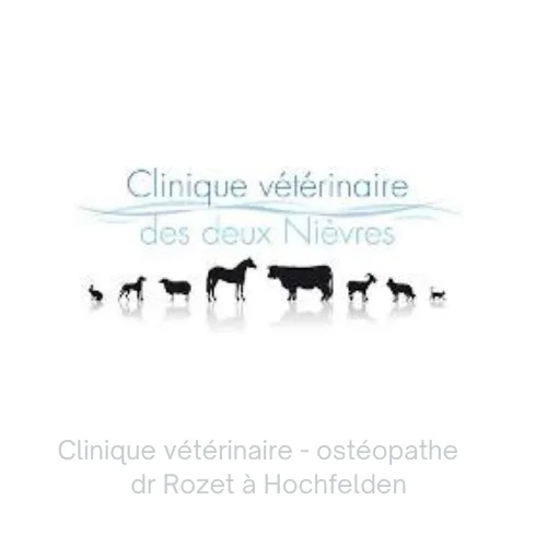 meilleure clinique vétérinaire Bas Rhin- ostéopathe vétérinaire et soins énergétiques pour animaux