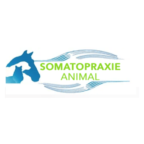 somatopraxie animale- le site officiel soins énergétiques animaux